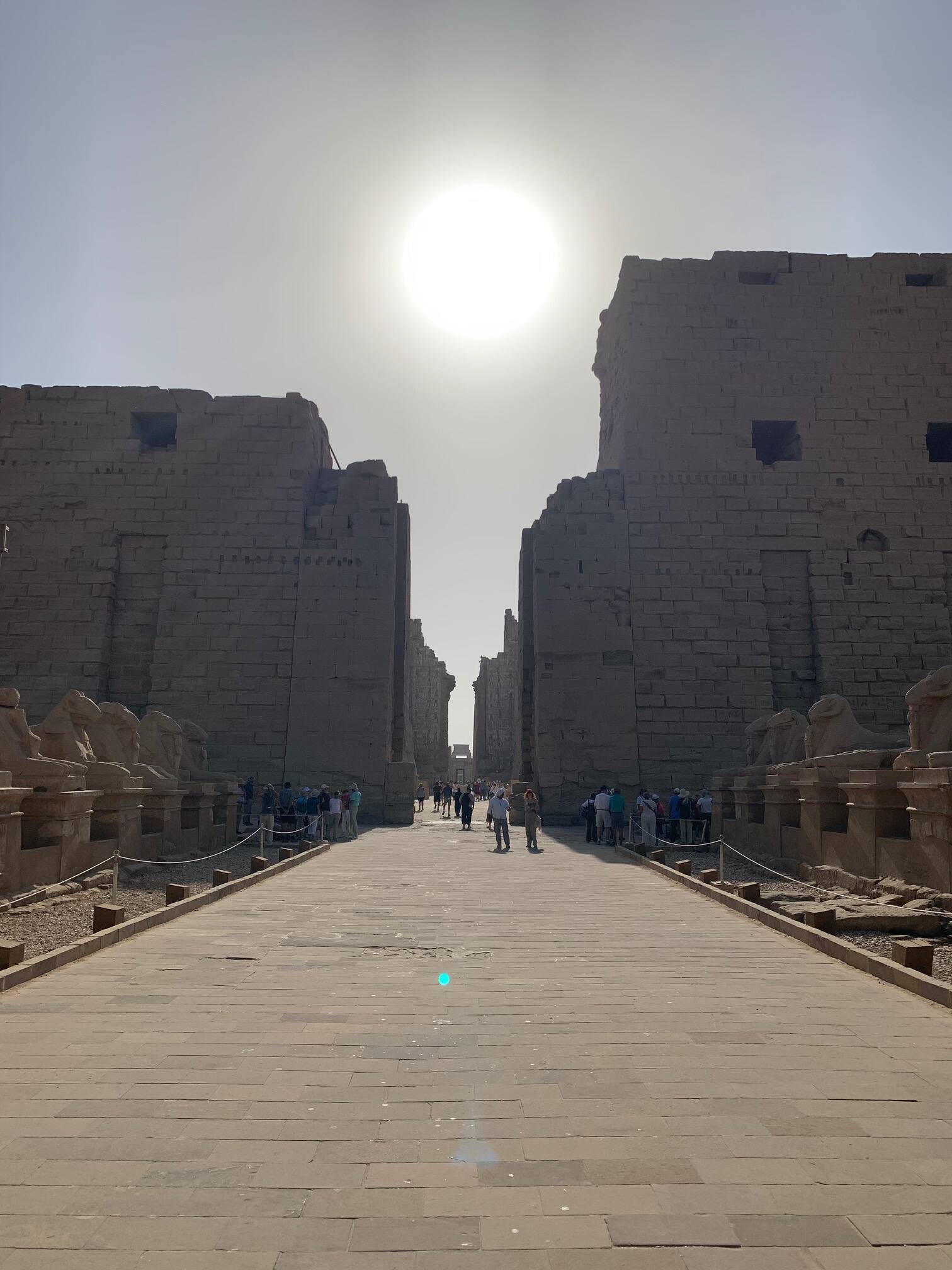 Fotos del viaje de Egipto 2024