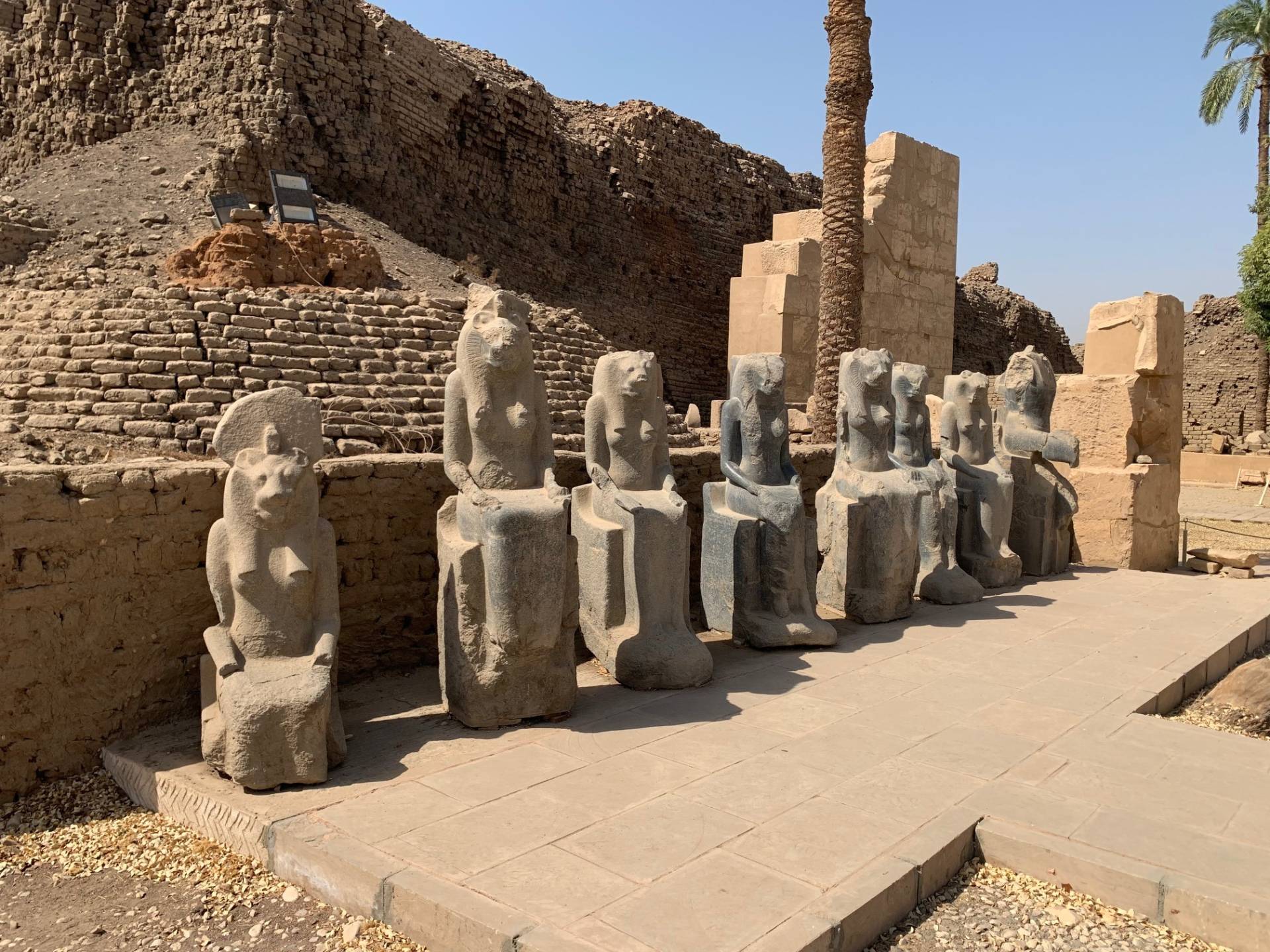 Fotos del viaje de Egipto 2024