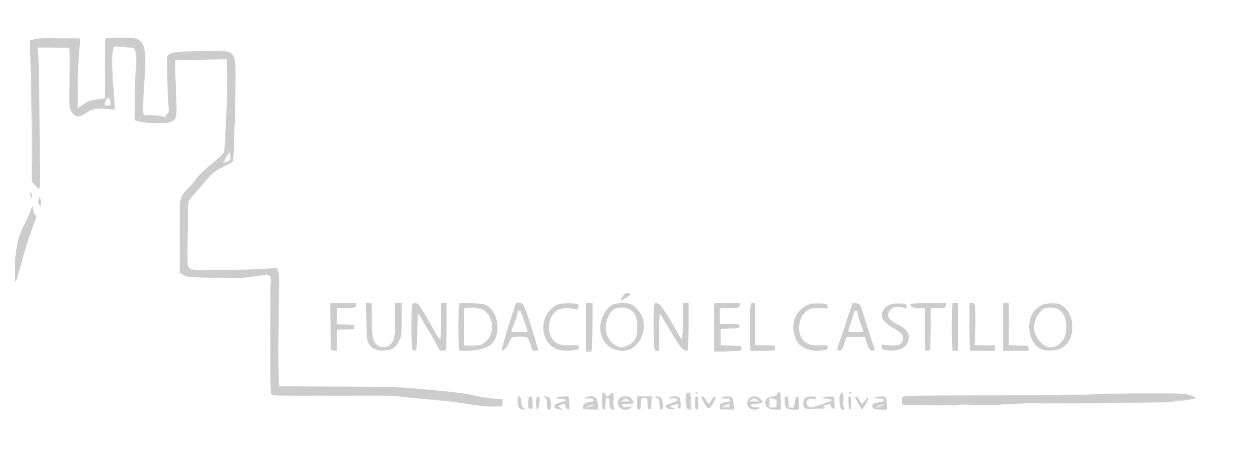 Fundación dicastillo logo